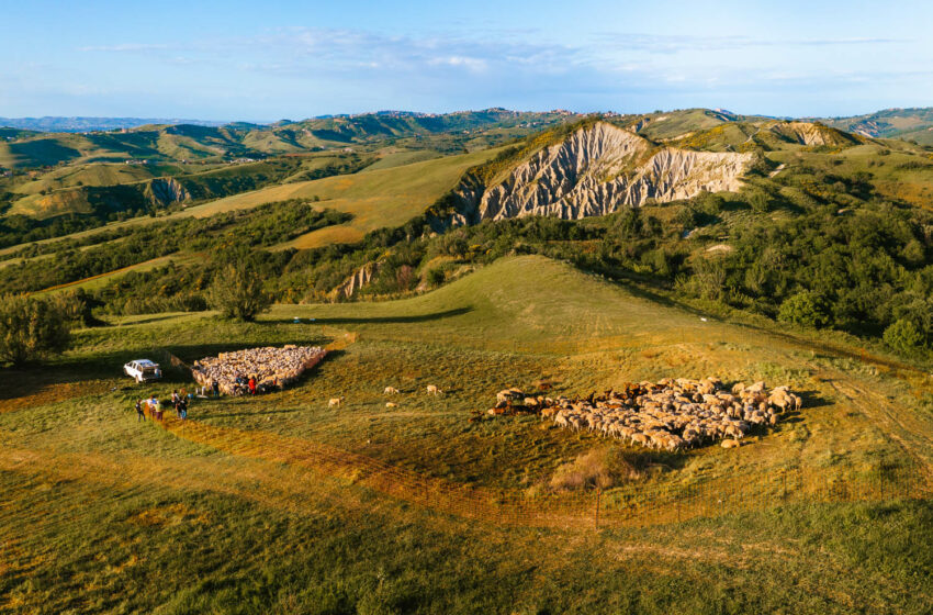  Transhumance, the voice of the flocks and herds on the move. The geometries of the soul along the Abruzzo tratturi