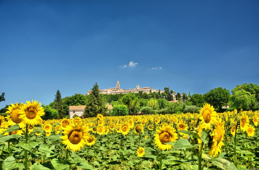  Montecassiano:il borgo dei buskers dalla medioevale forma a foglie di cipolla